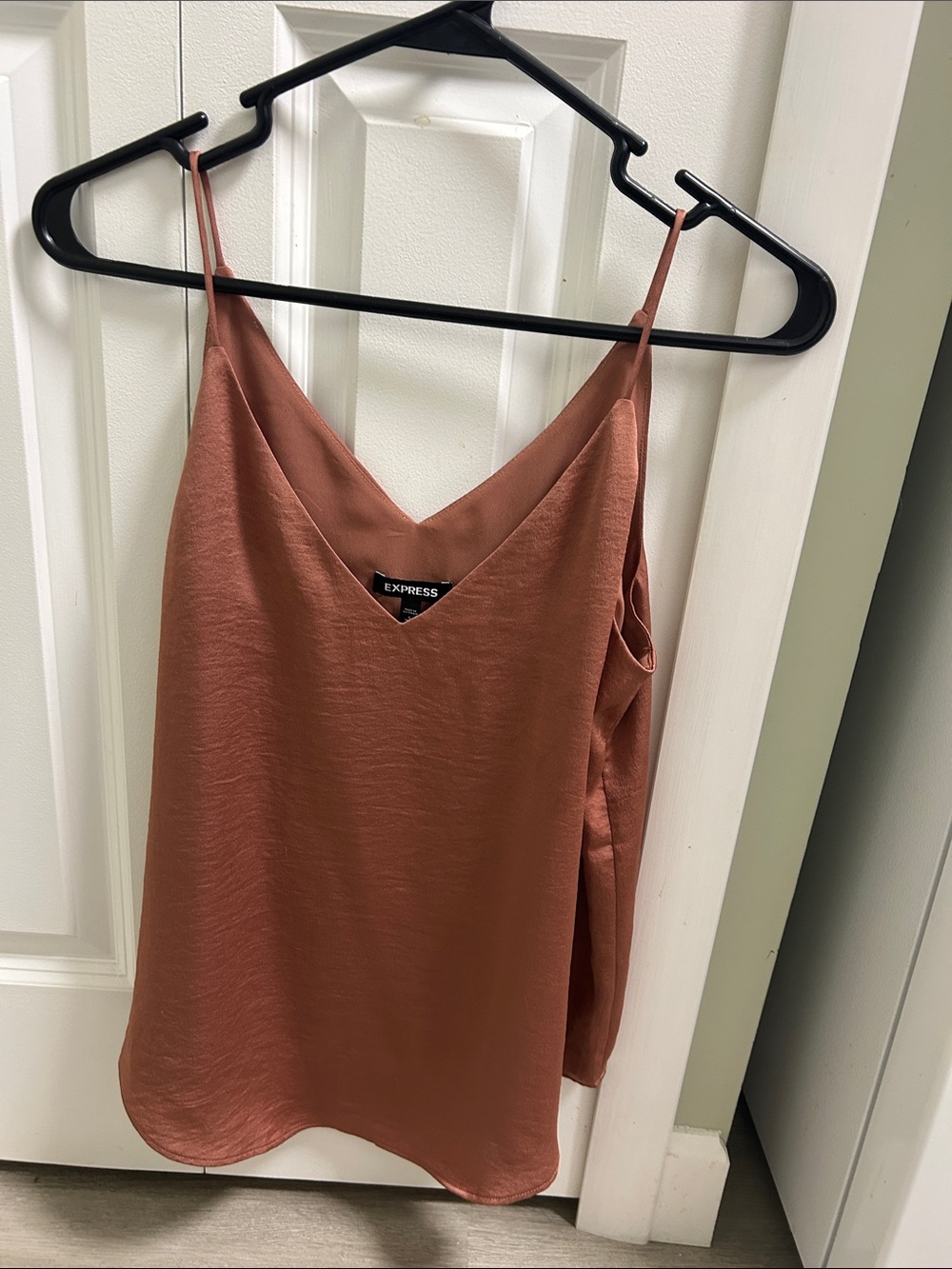 Express Satin V-Neck Cami in Rusty Terracotta
